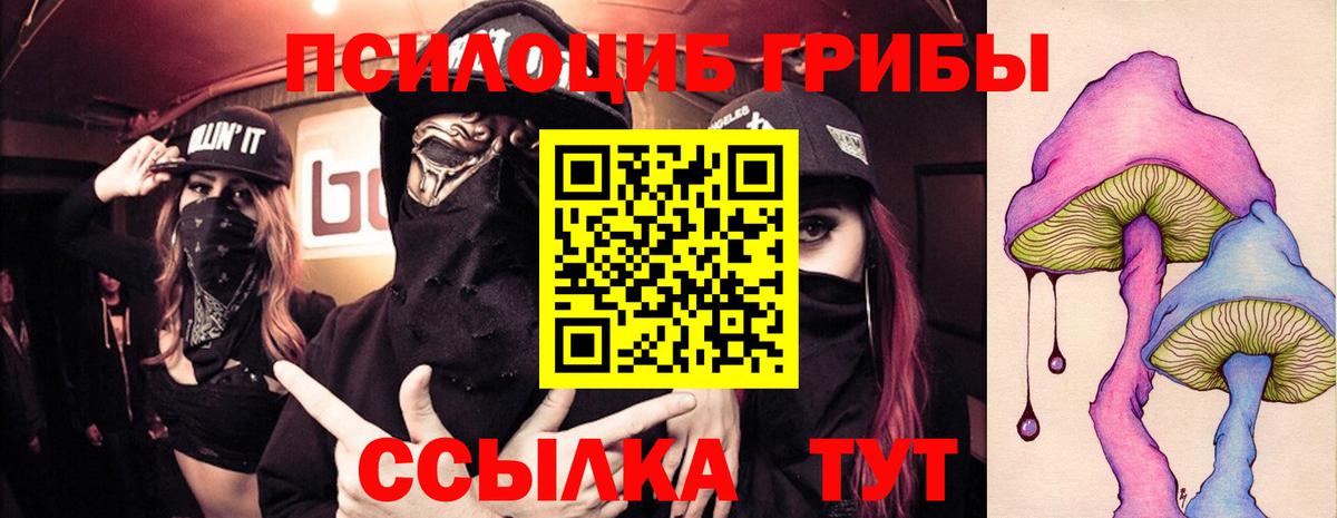 Псилоцибиновые грибы Psilocybine cubensis Минеральные Воды